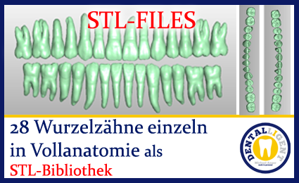 Product image 1 of the product “28 root teeth individually in full anatomy as STL library  by M. Anger ”
