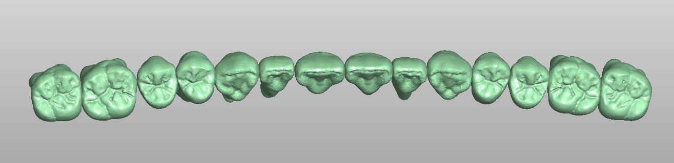 Product image 3 of the product “28 root teeth individually in full anatomy as STL library  by M. Anger ”